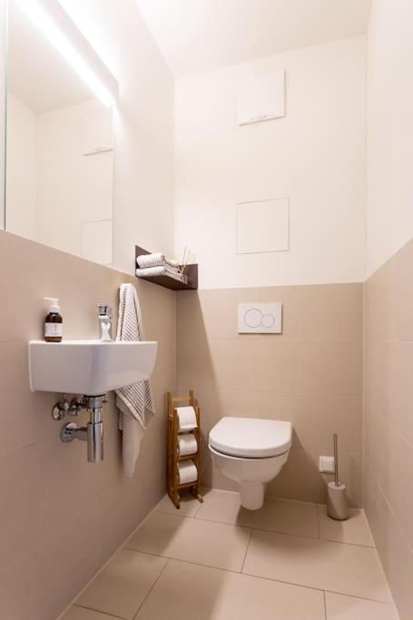 Dream Apartment - Central And Quiet With Ac And Free Parking Garage 维也纳 外观 照片