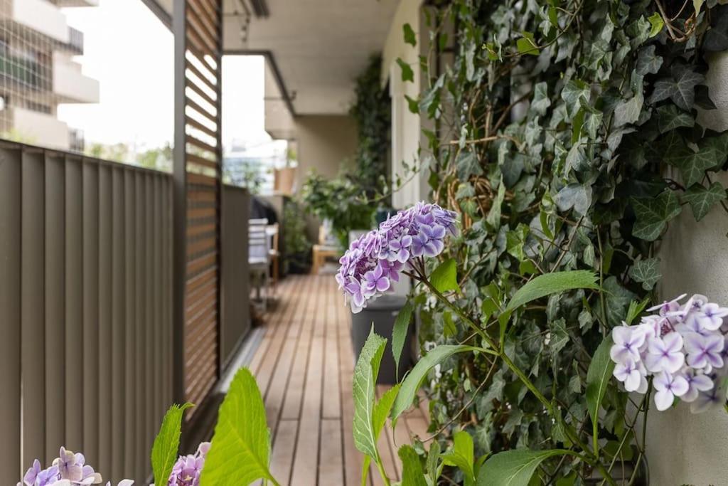 Dream Apartment - Central And Quiet With Ac And Free Parking Garage 维也纳 外观 照片